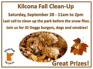 2013 Fall Clean Up Poster