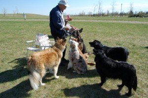 Ray and Tanner - Copy